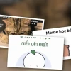 Bộ Meme Học Bài lầy lội cực hài cho mùa thi cử áp lực