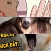 Bộ sưu tập chó sủa meme bá đạo và hài hước nhất hiện nay