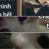 Cười ra nước mắt với bộ ảnh chia tay meme cực lầy lội