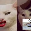 Kì thị meme trào lưu hay chiêu trò câu tương tác