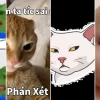 Mê mẩn bộ đánh giá meme hài hước cực lầy lội