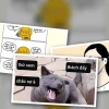 Meme là gì trên facebook và tại sao giới trẻ lại nghiện nó
