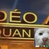 Top 24 meme không quan tâm cực lầy lội khiến bạn cười xỉu