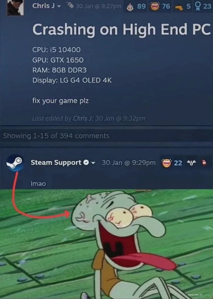 4k meme chú chó shiba