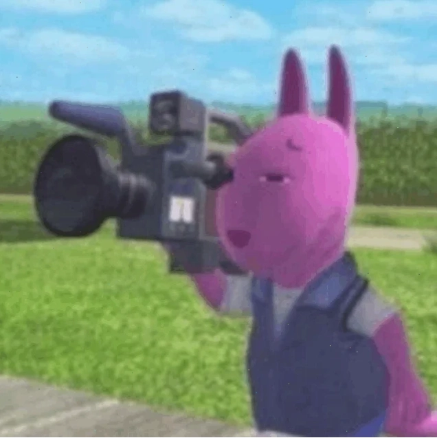 4k meme mèo