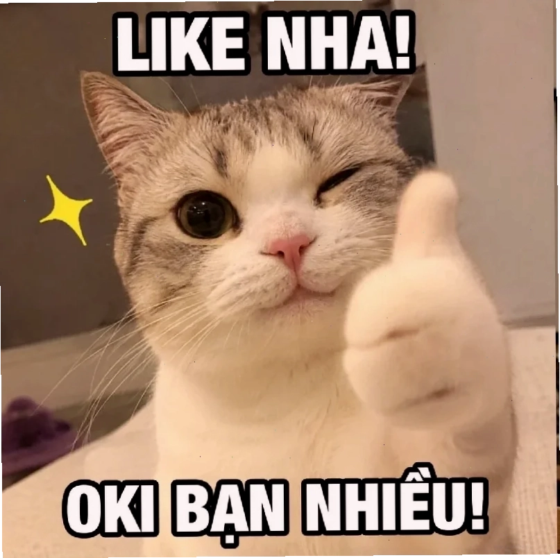 aảnh meme chó đeo kính