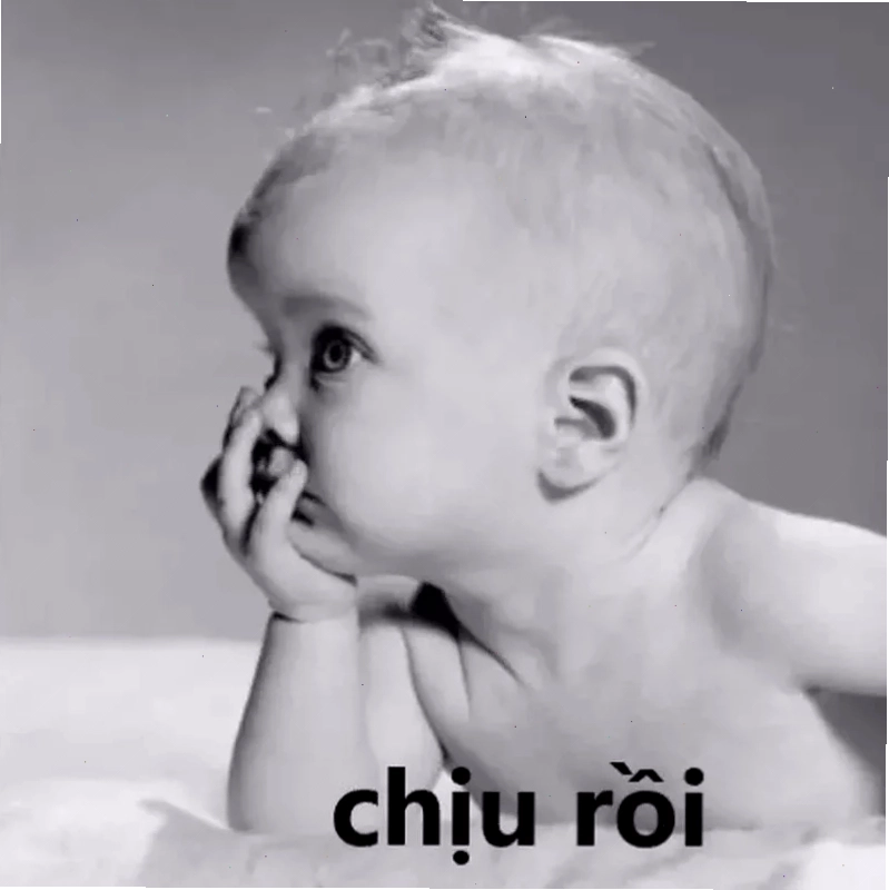 aảnh meme chó hoảng hốt