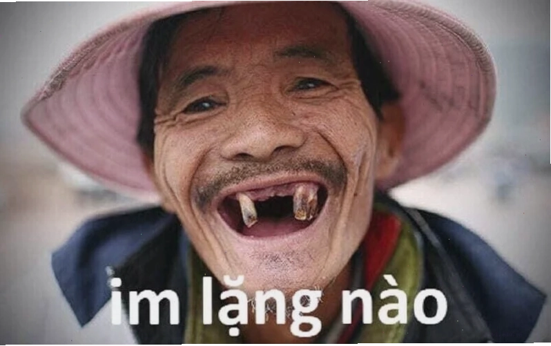 aảnh meme chó ngáo