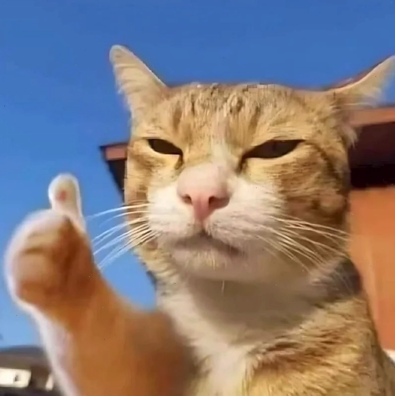 aảnh meme học tập