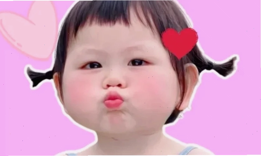 aảnh meme mèo ăn vụng