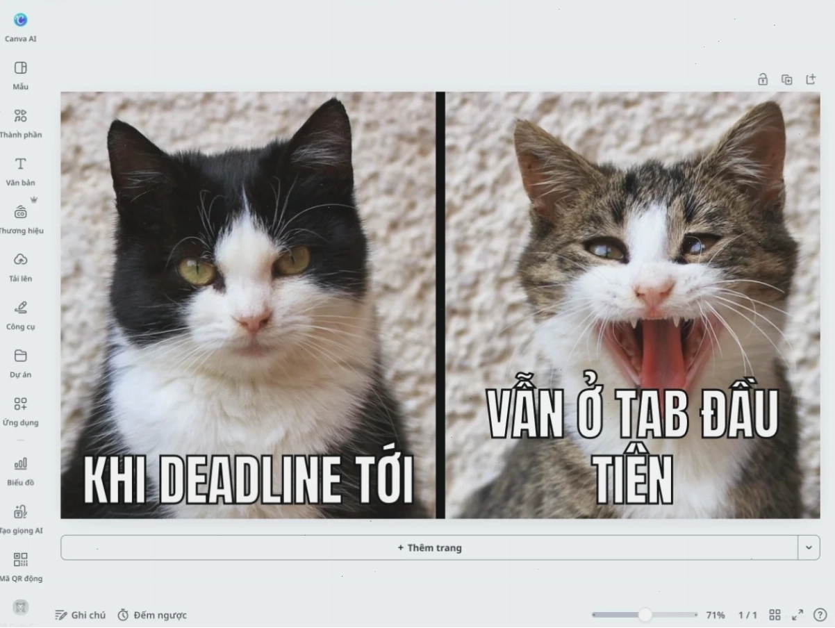 aảnh meme nhảy múa