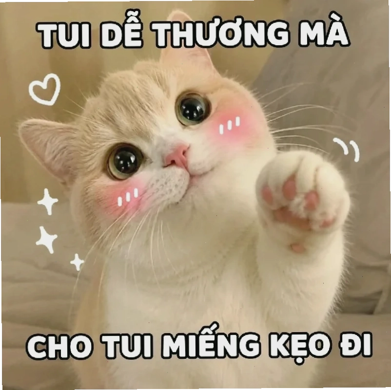 aảnh meme văn phòng