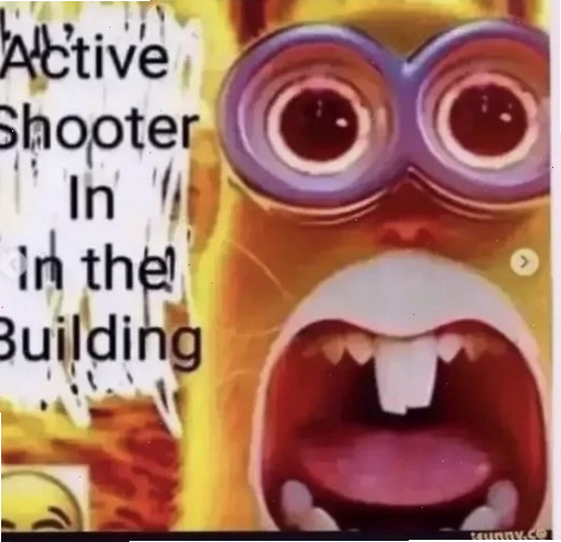 active meme về chú chó