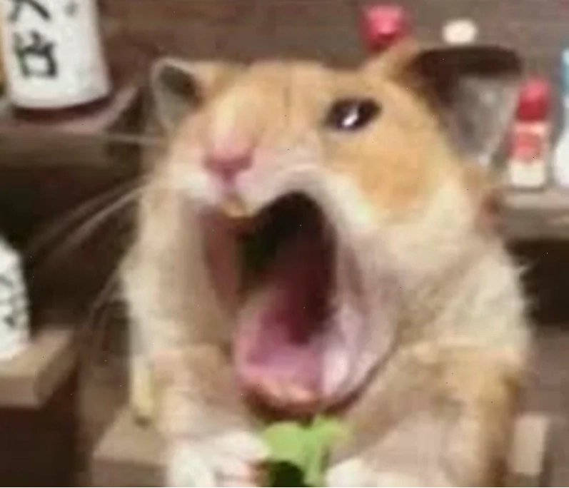 Âm thanh meme hét buồn cười