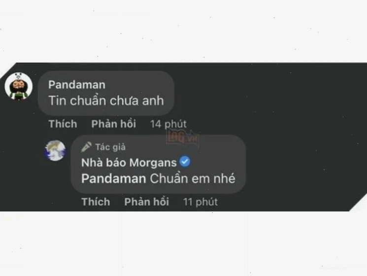 Ảnh 13
