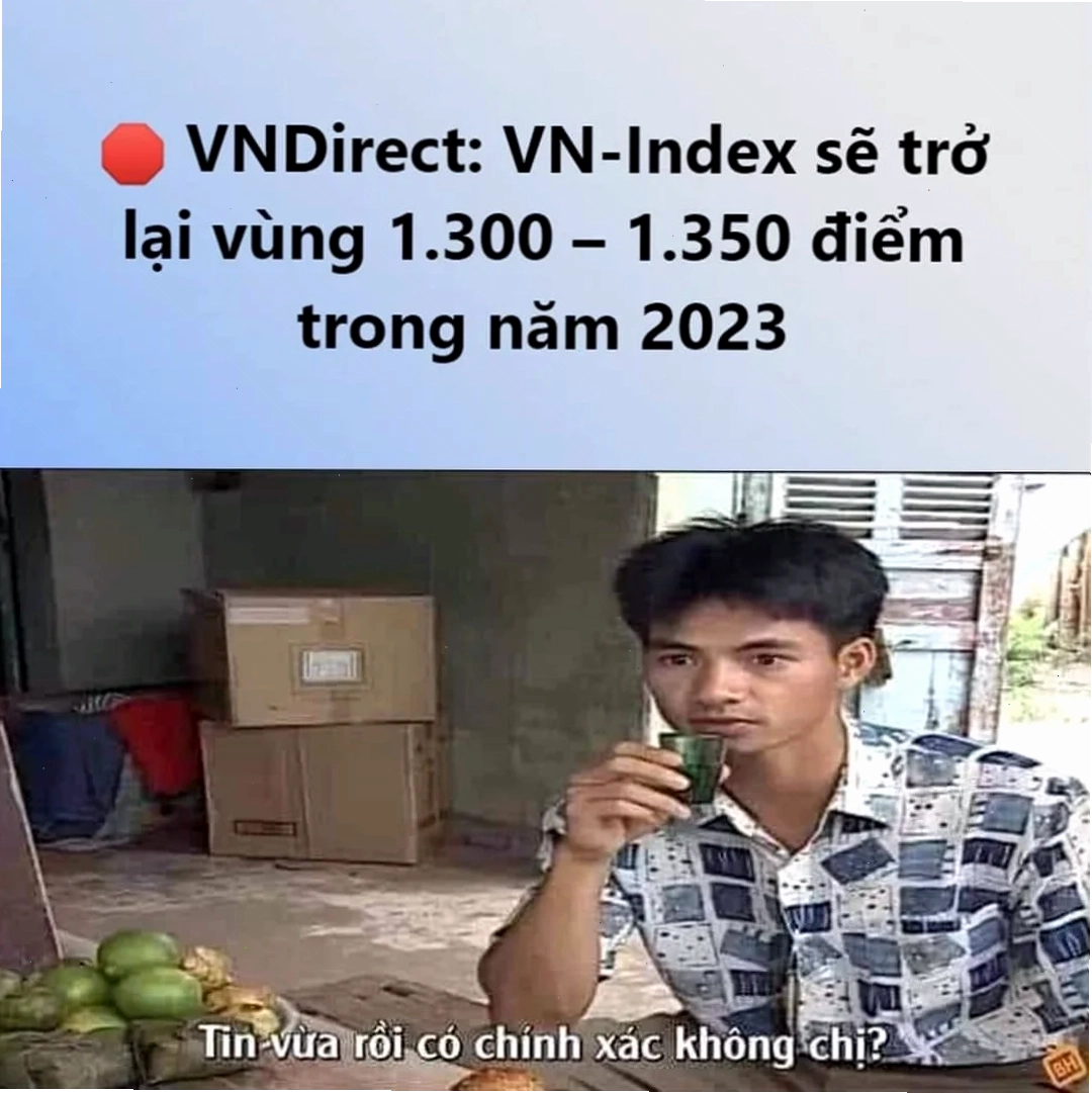 Ảnh 19