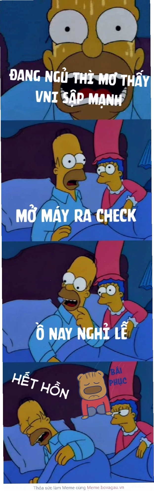 Ảnh 22
