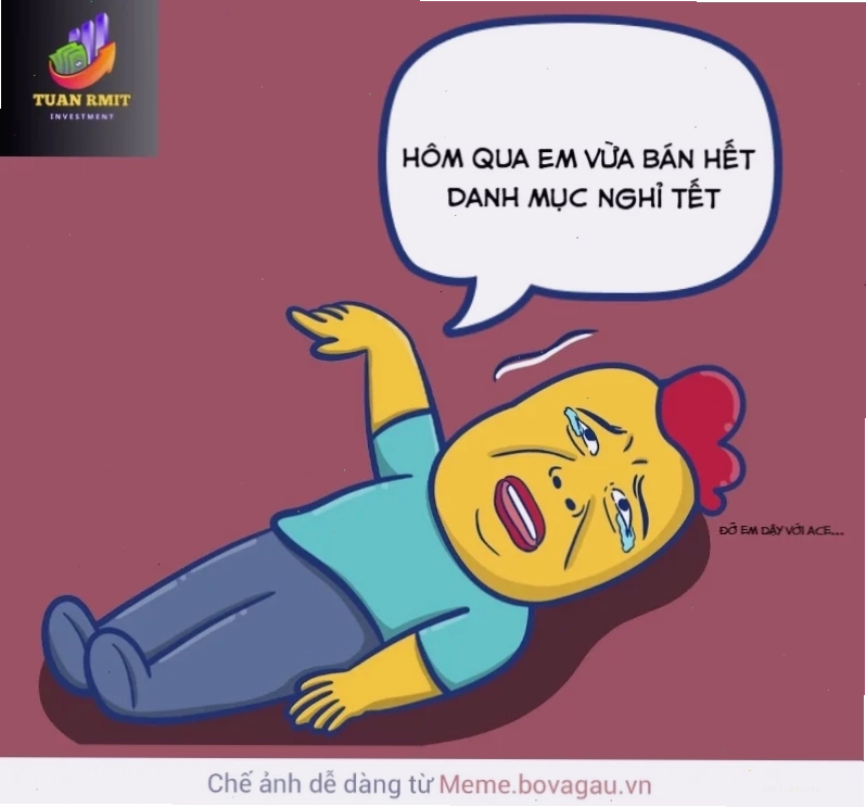 Ảnh 23