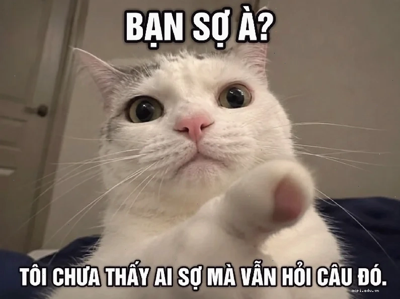 anh bạn à meme