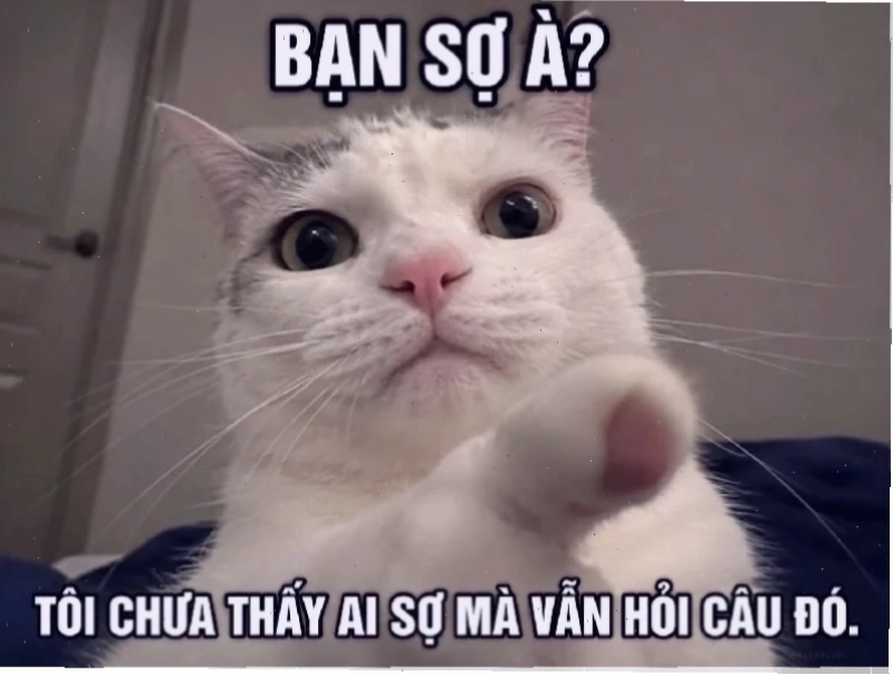 anh bạn à meme
