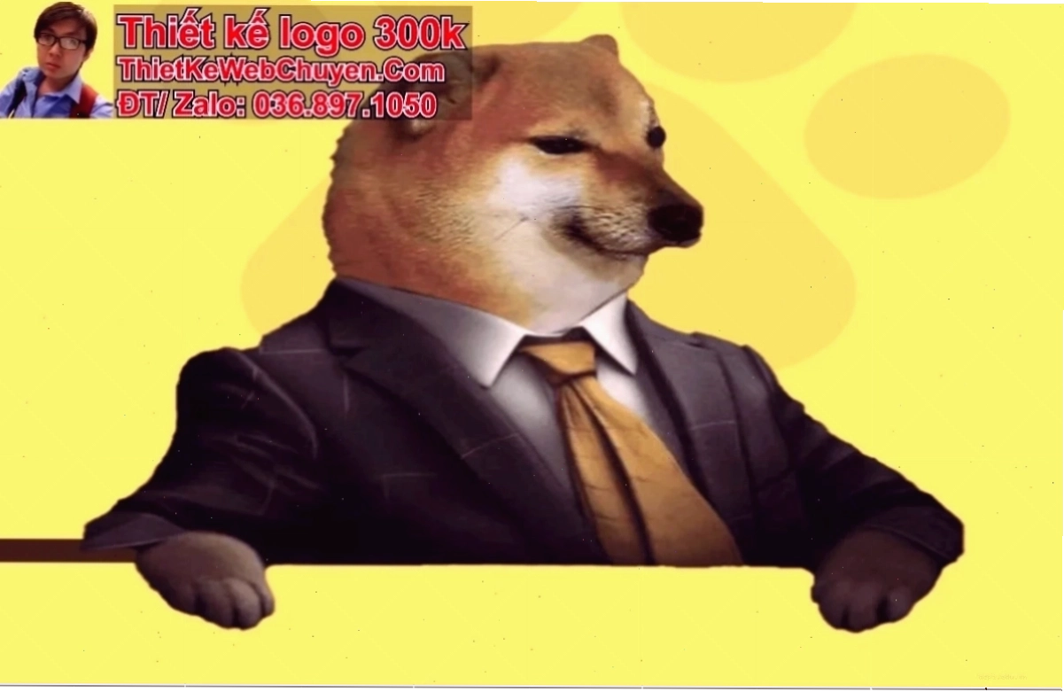Ảnh bìa meme chú vẹt xanh