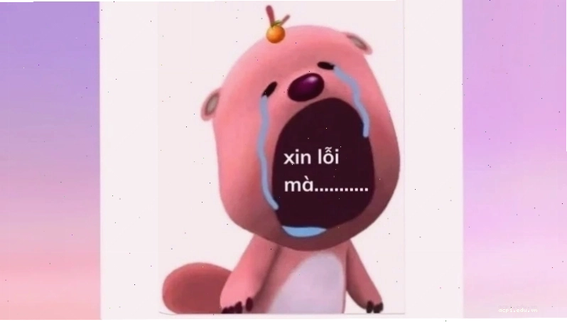 Ảnh cầu hòa