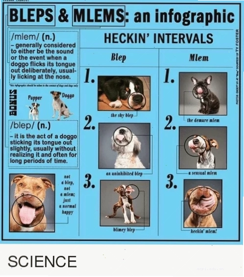 ảnh chế chảy nước miếng