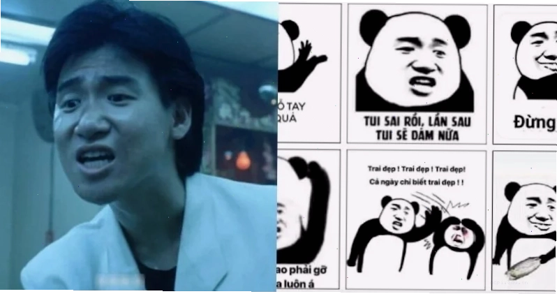 Ảnh chế gấu trúc đâm cây măng