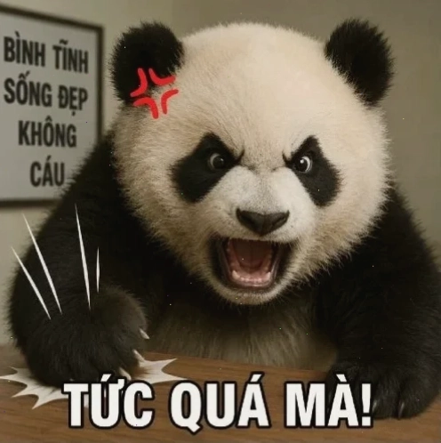 Ảnh chế gấu trúc mắc cỡ mất hết mặt mũi