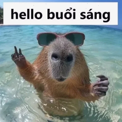 Ảnh chế hài hước chúc một ngày tốt lành meme cực bựa
