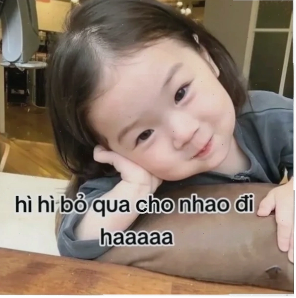 Ảnh chế mèo cười gượng meme xin lỗi