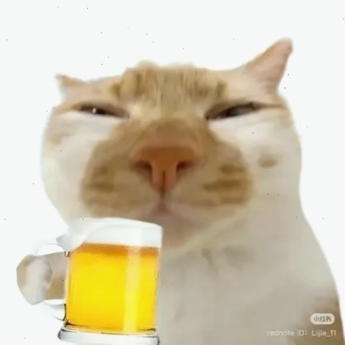 Ảnh chế nói không với rượu bia meme