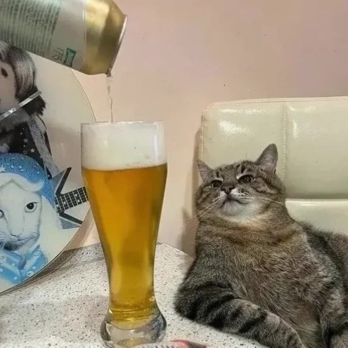Ảnh chế nói không với rượu bia meme