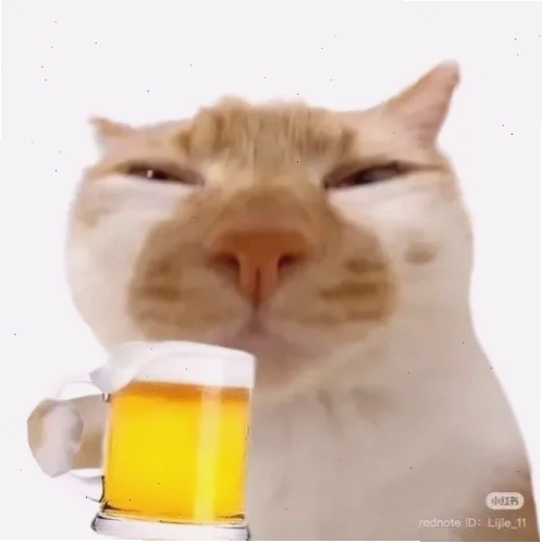 Ảnh chế nói không với rượu bia meme