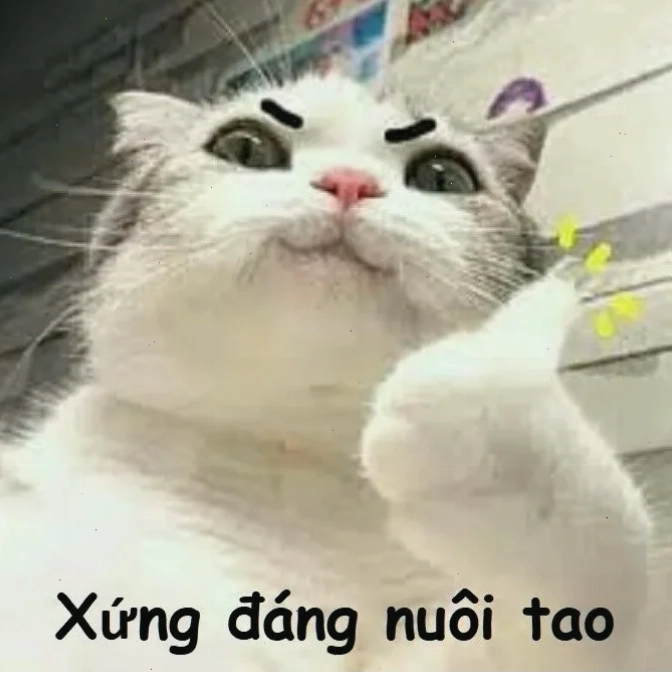 Ảnh chế Vì bạn xứng đáng