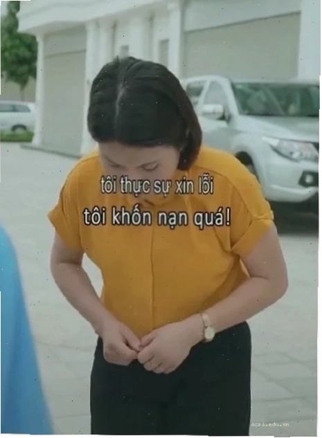 Ảnh chó xin lỗi