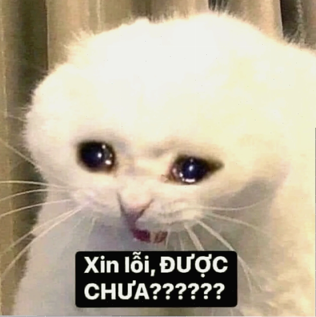 Ảnh chú chó buồn bã meme xin lỗi