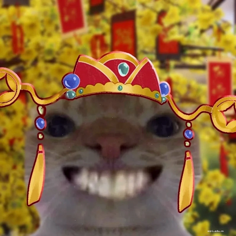 ảnh đại diện meme