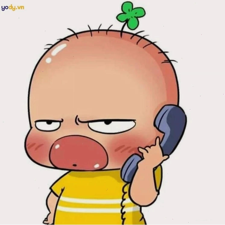 ảnh đại diện meme