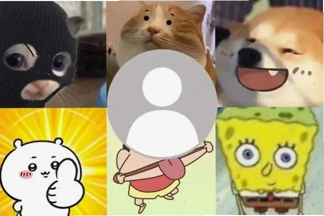 ảnh đại diện meme