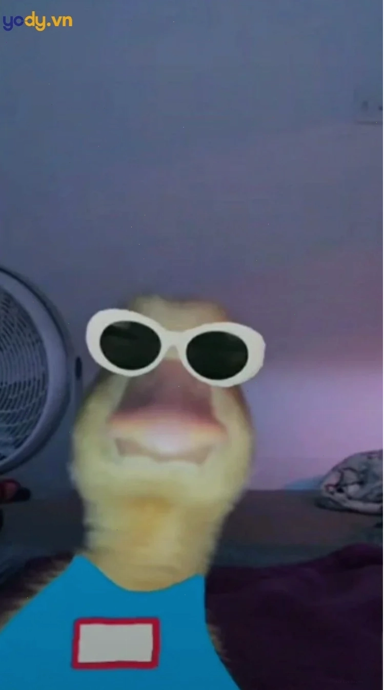 ảnh đại diện meme