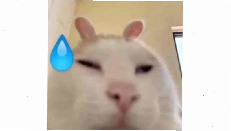 ảnh đại diện meme