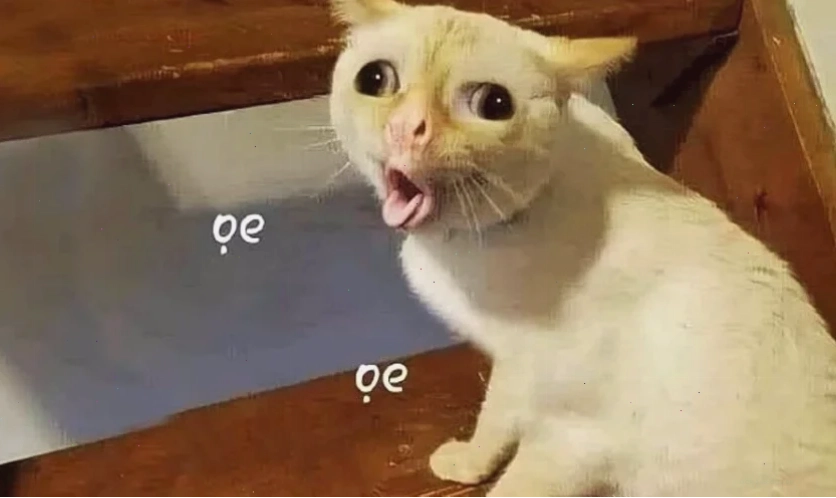 ảnh đại diện meme