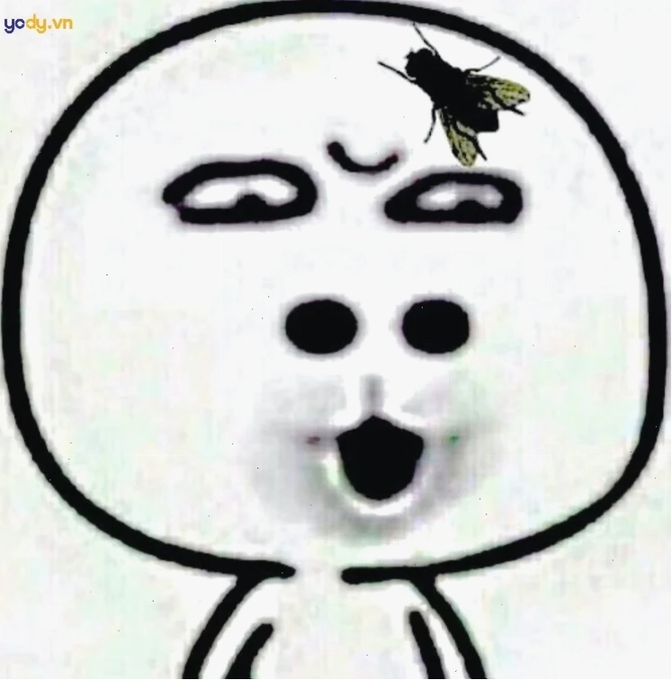 ảnh đại diện meme