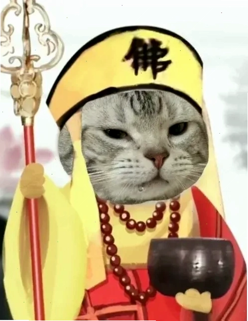 ảnh đại diện meme