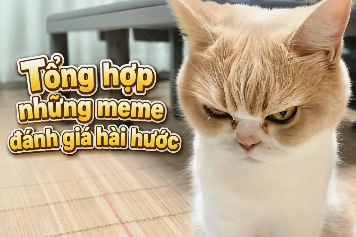 Ảnh đánh giá meme đa dạng phong cách