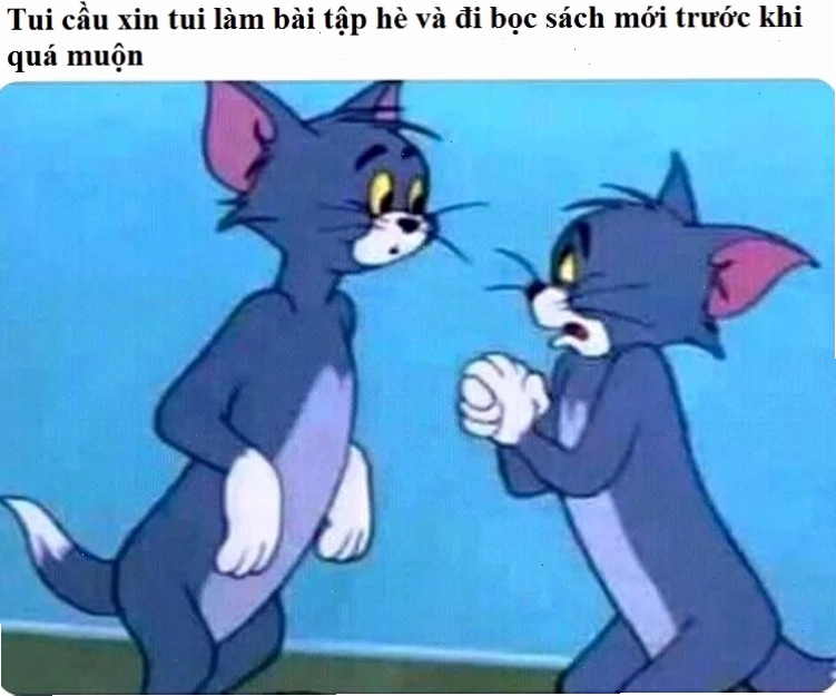 Ảnh hài hước quỳ gối cầu xin meme