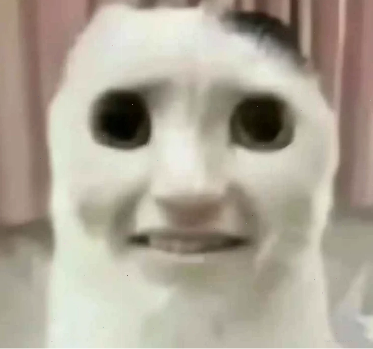 Ảnh hốt hoảng meme hài hước nhất