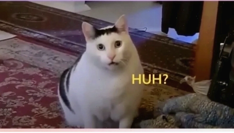 Ảnh kho meme miễn phí