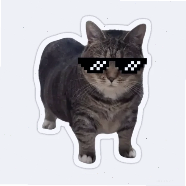 ảnh meme cat ban phước